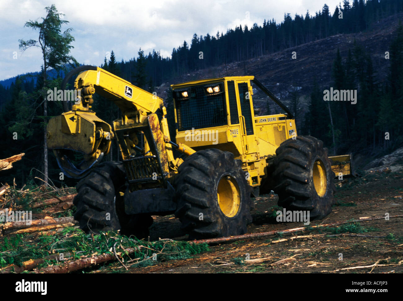 Logging Operations Outside Armstrong, BC, Canada Stock Photo Alamy