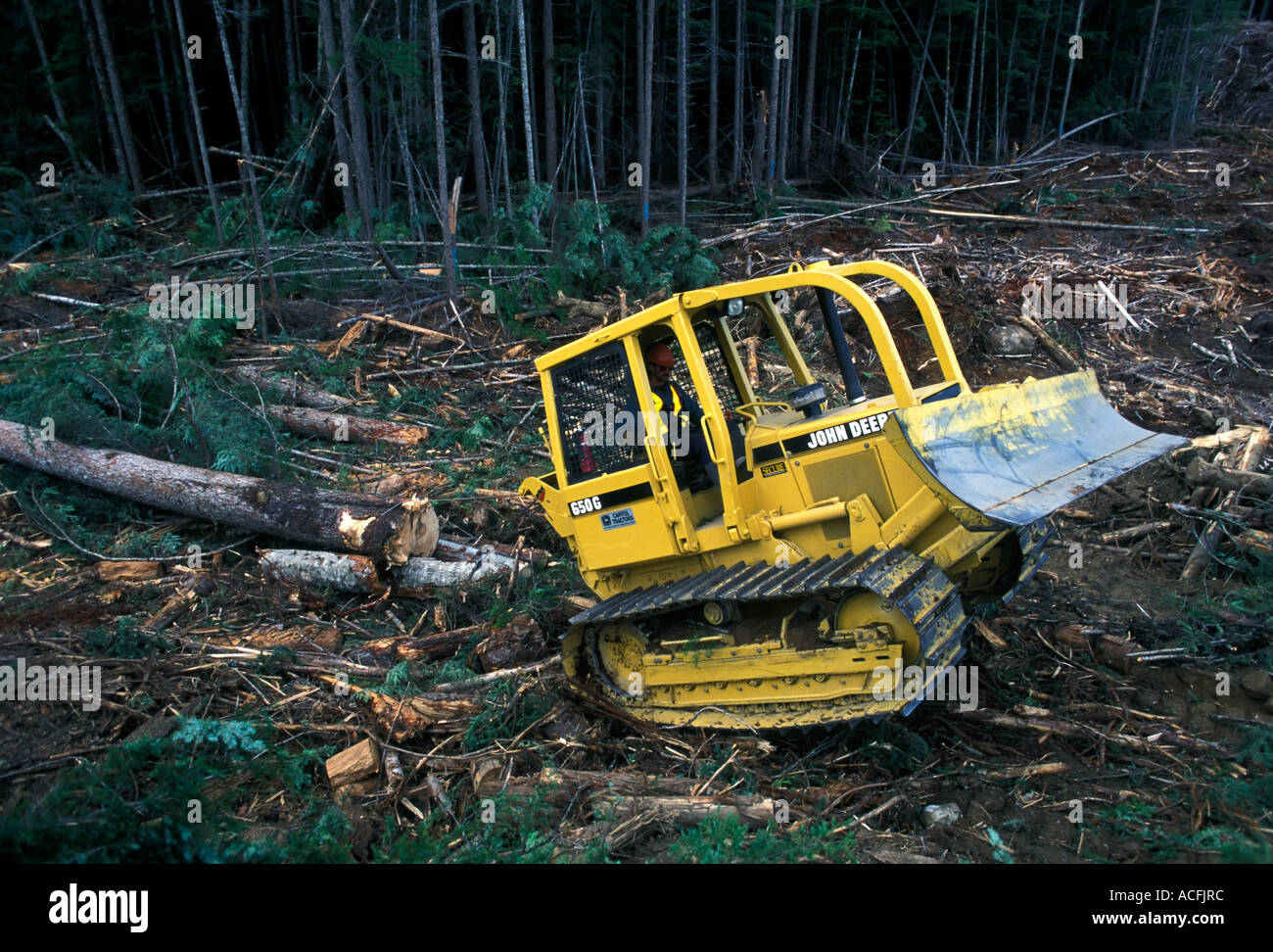 Logging Operations Outside Armstrong, BC, Canada Stock Photo Alamy