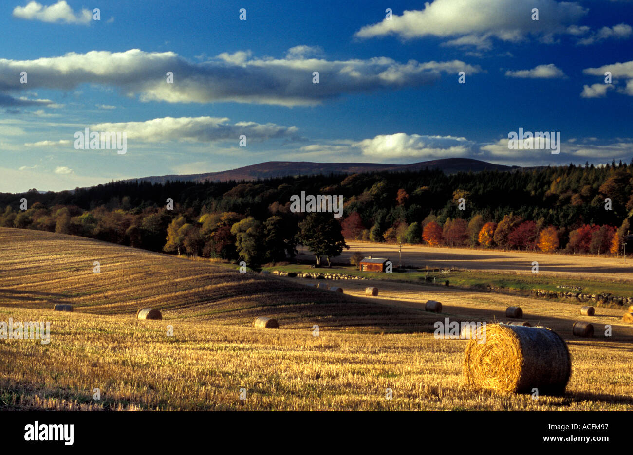 Landscape of Lower Deeside field and river Dee in Scotland with warm autumn colours and light Stock Photo