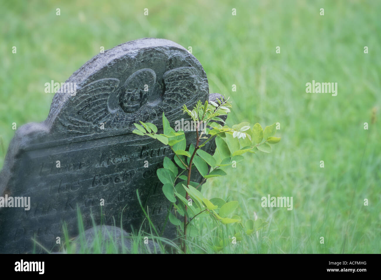 Broad Street Cemetary Salem Massachusetts Stock Photo Alamy