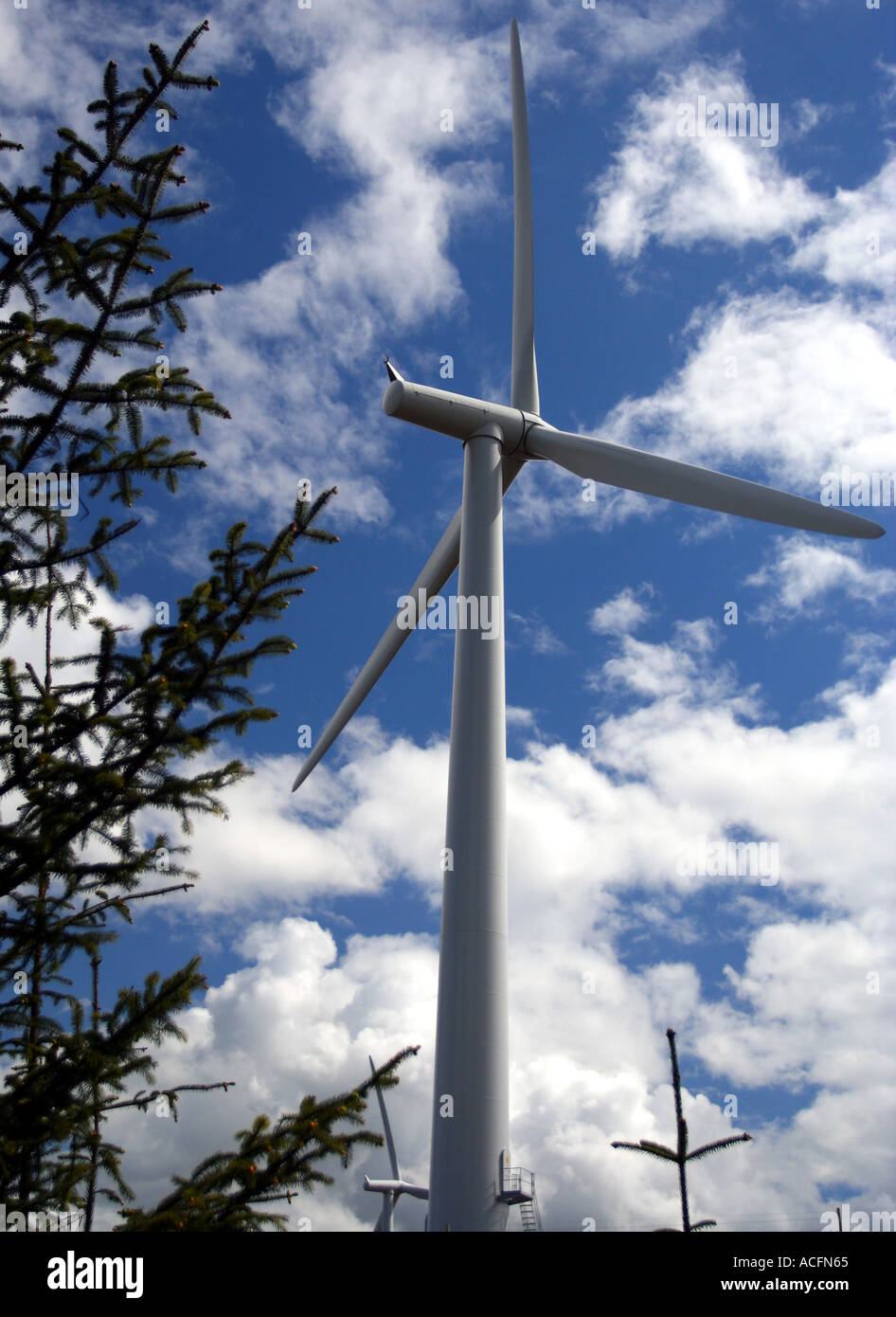 Single power windmill set against a blue clouded sky and framed by pines Stock Photo
