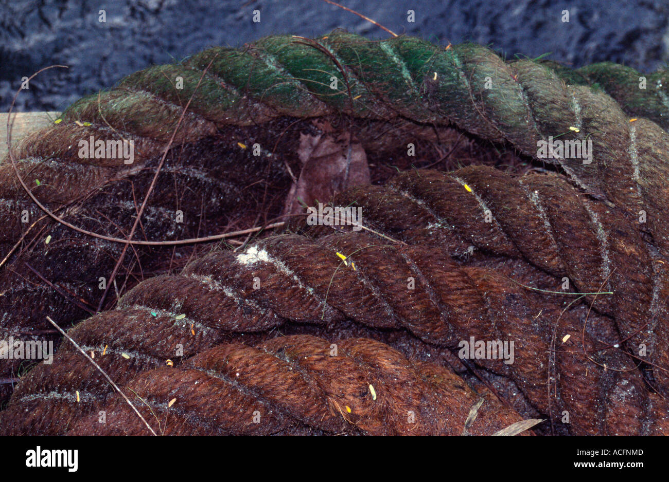 Fishermans Rope High Resolution Stock Photography and Images - Alamy