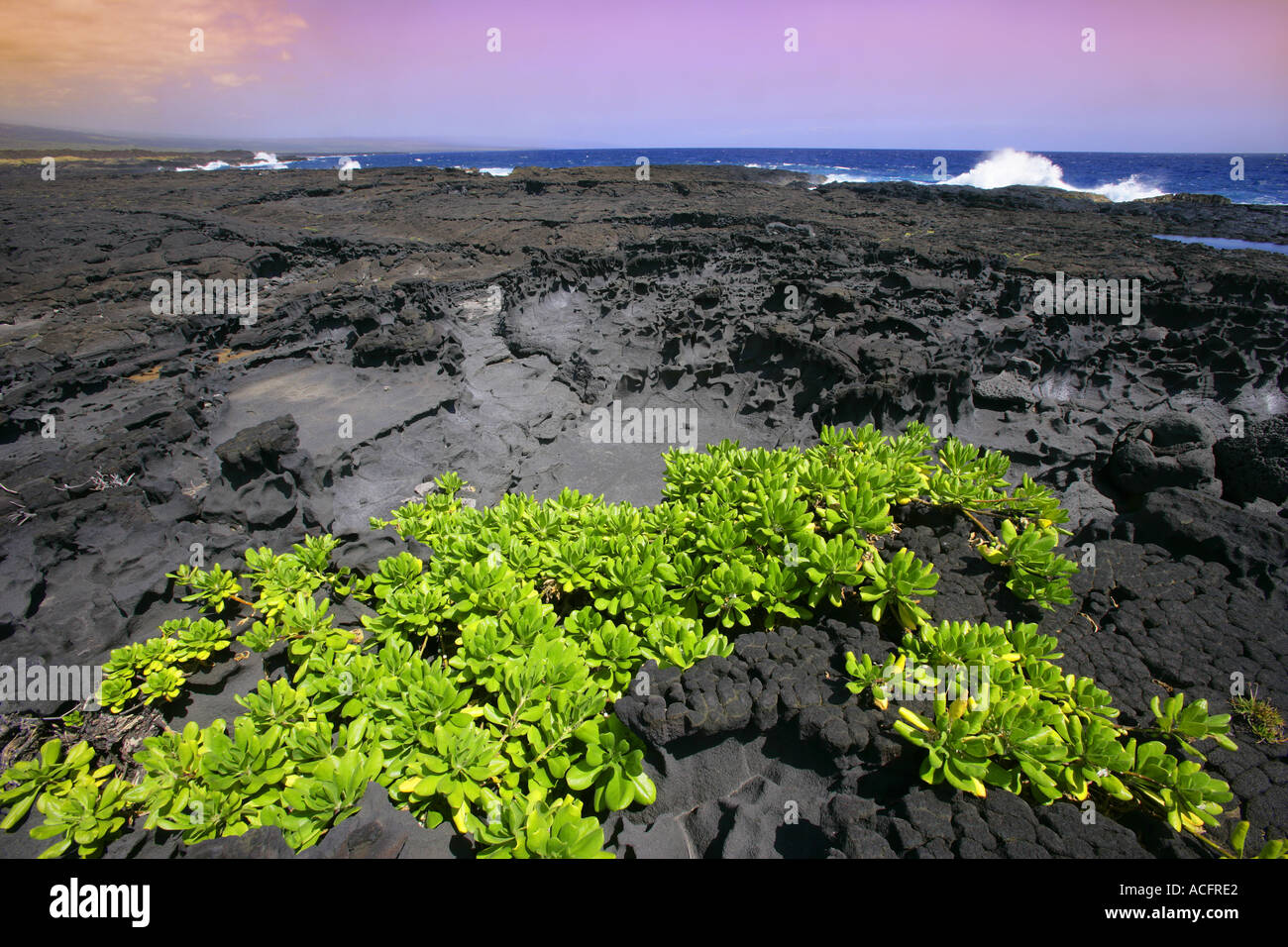 Lava rock near water, Hawaii, USA Stock Photo