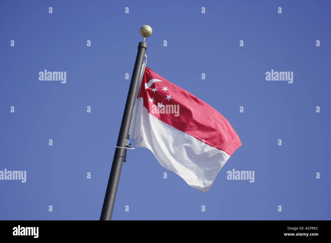 Singapore national flag flag Stock Photo Alamy