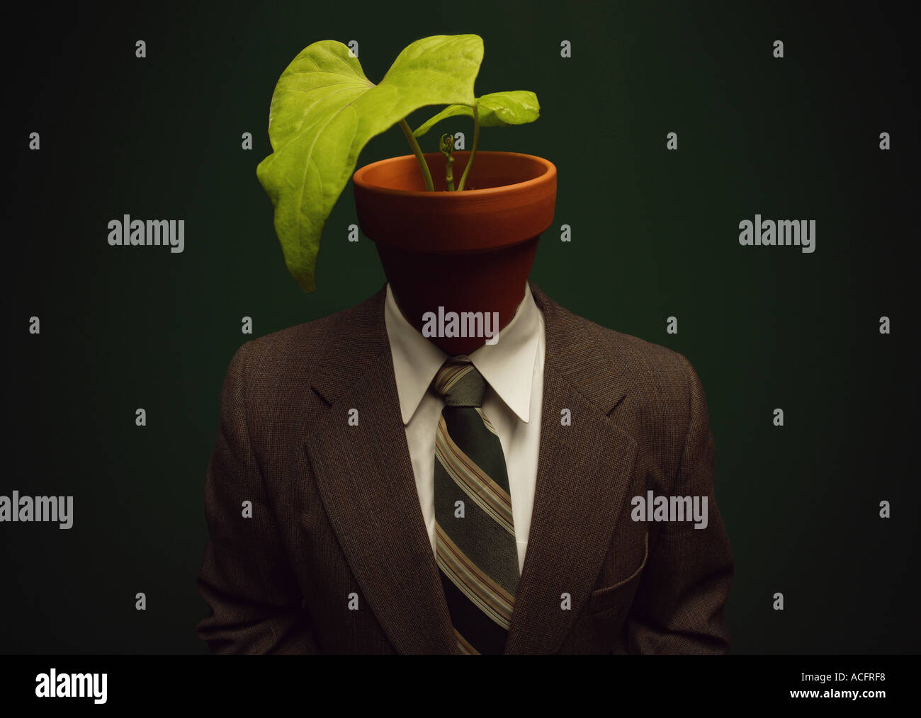 Plant on head of human body Stock Photo - Alamy