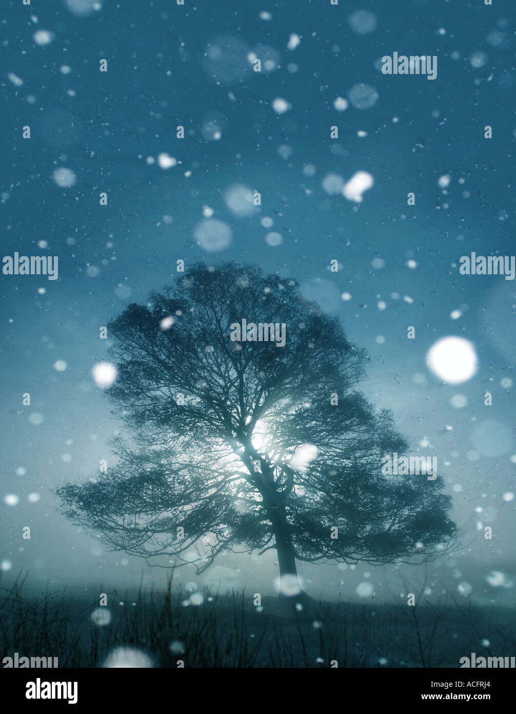Tree sunrise snow hi-res stock photography and images - Alamy