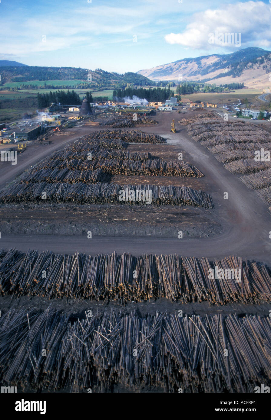 Log Yard at Sawmill. Lumby, BC., Canada Stock Photo Alamy