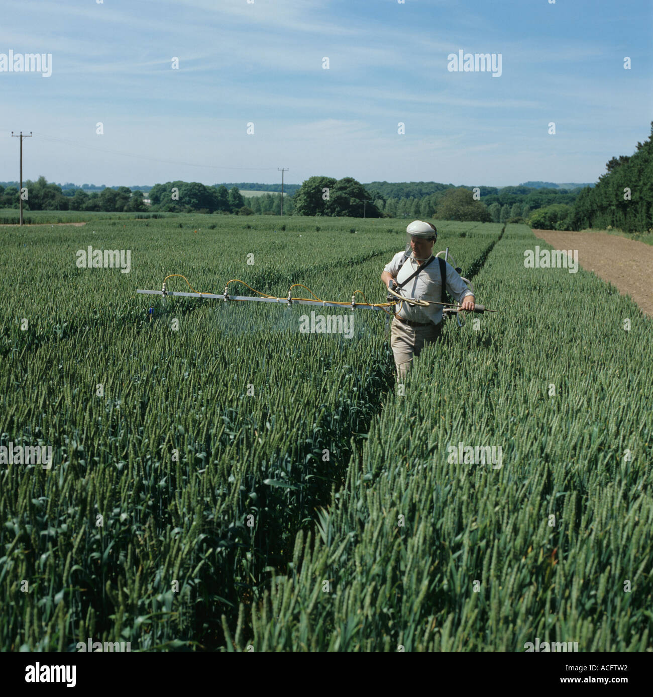 Scientist with specially designed plot sprayer spraying wheat field experiment Stock Photo