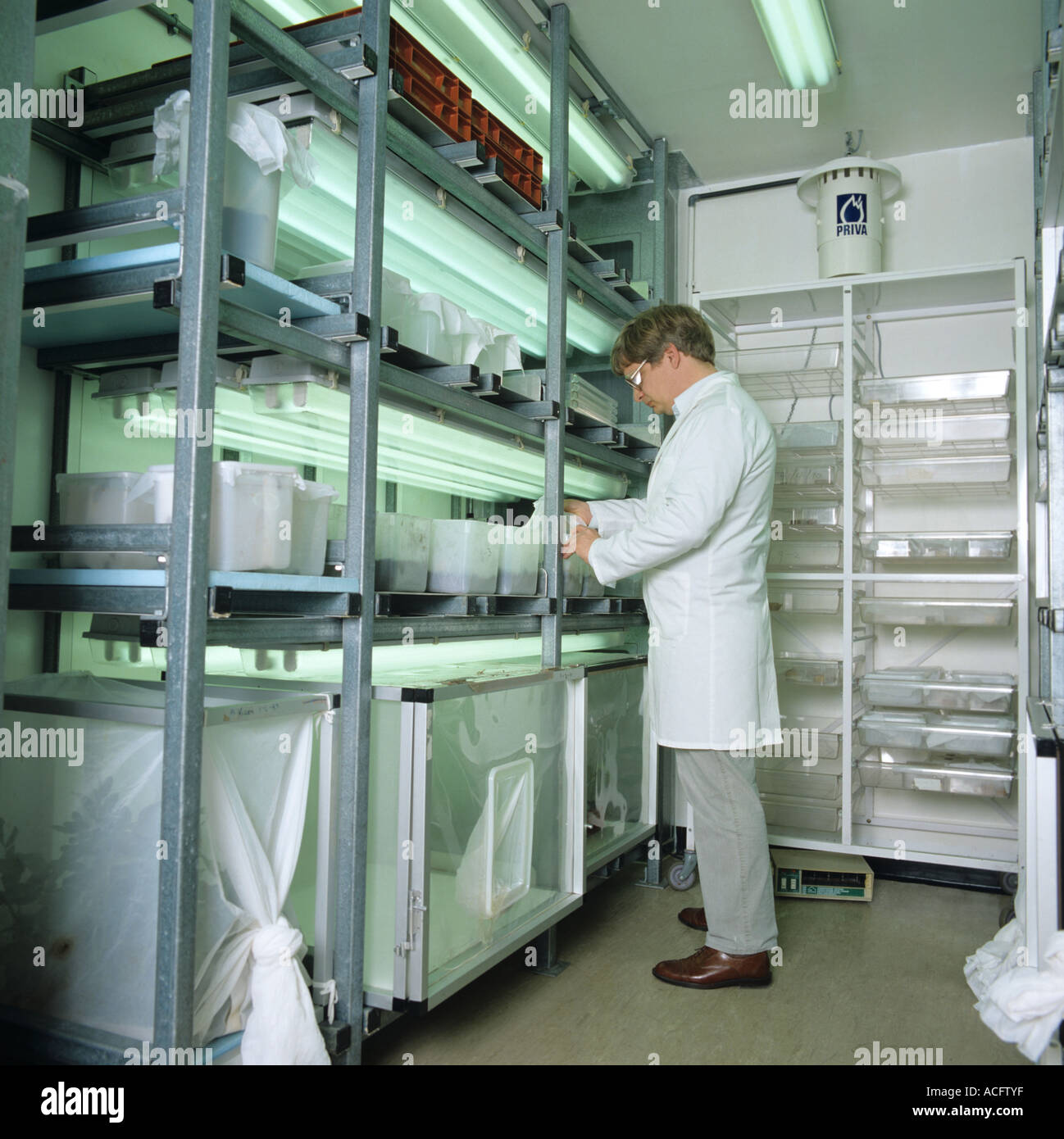 Controlled environment room for insect breeding for pesticide research Stock Photo