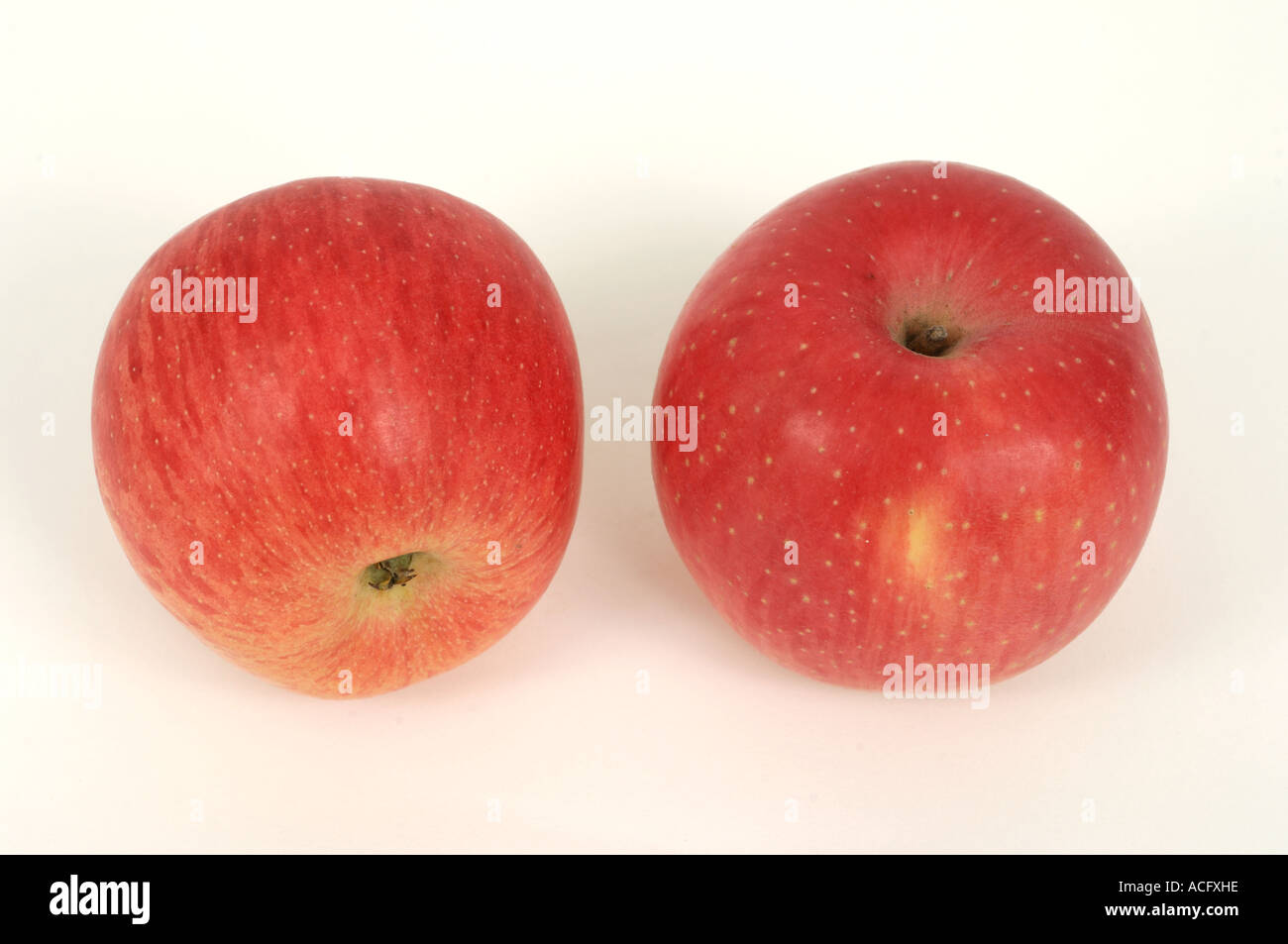 Fruit produce typical supermarket bought eating apples variety Fuji ...