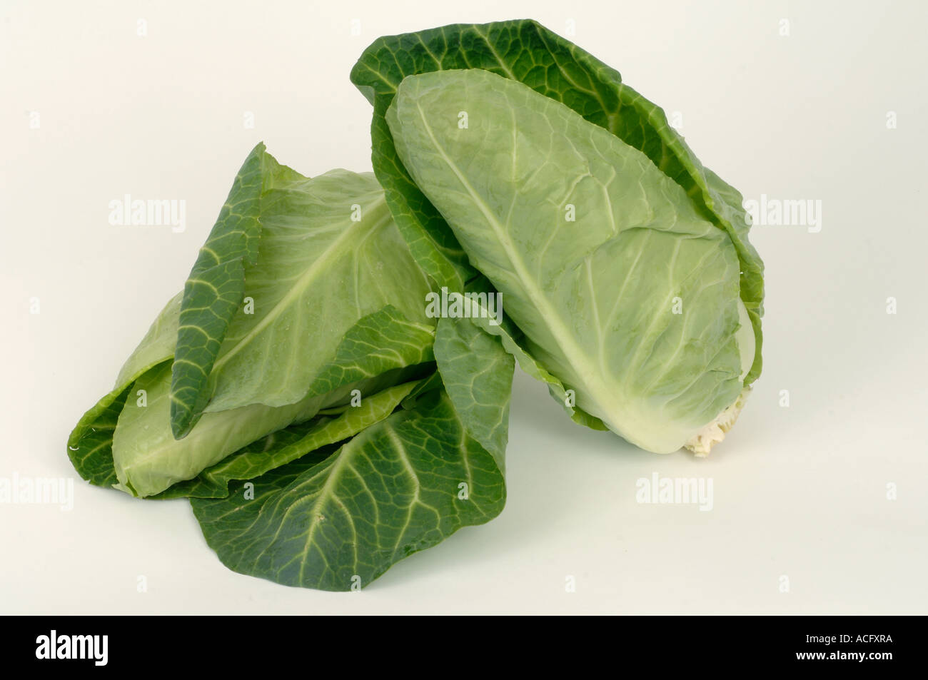 Vegetable produce typical supermarket bought pointed cabbages Stock Photo