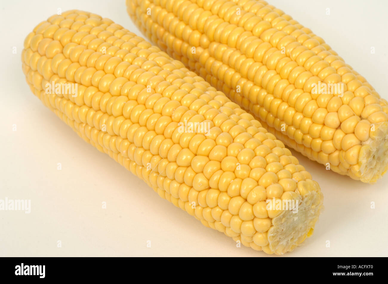 Vegetable produce typical supermarket bought cut trimmed sweetcorn cobs Stock Photo