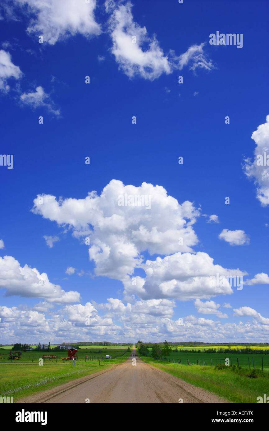 Blue skies and green countryside, Alberta, Canada Stock Photo Alamy