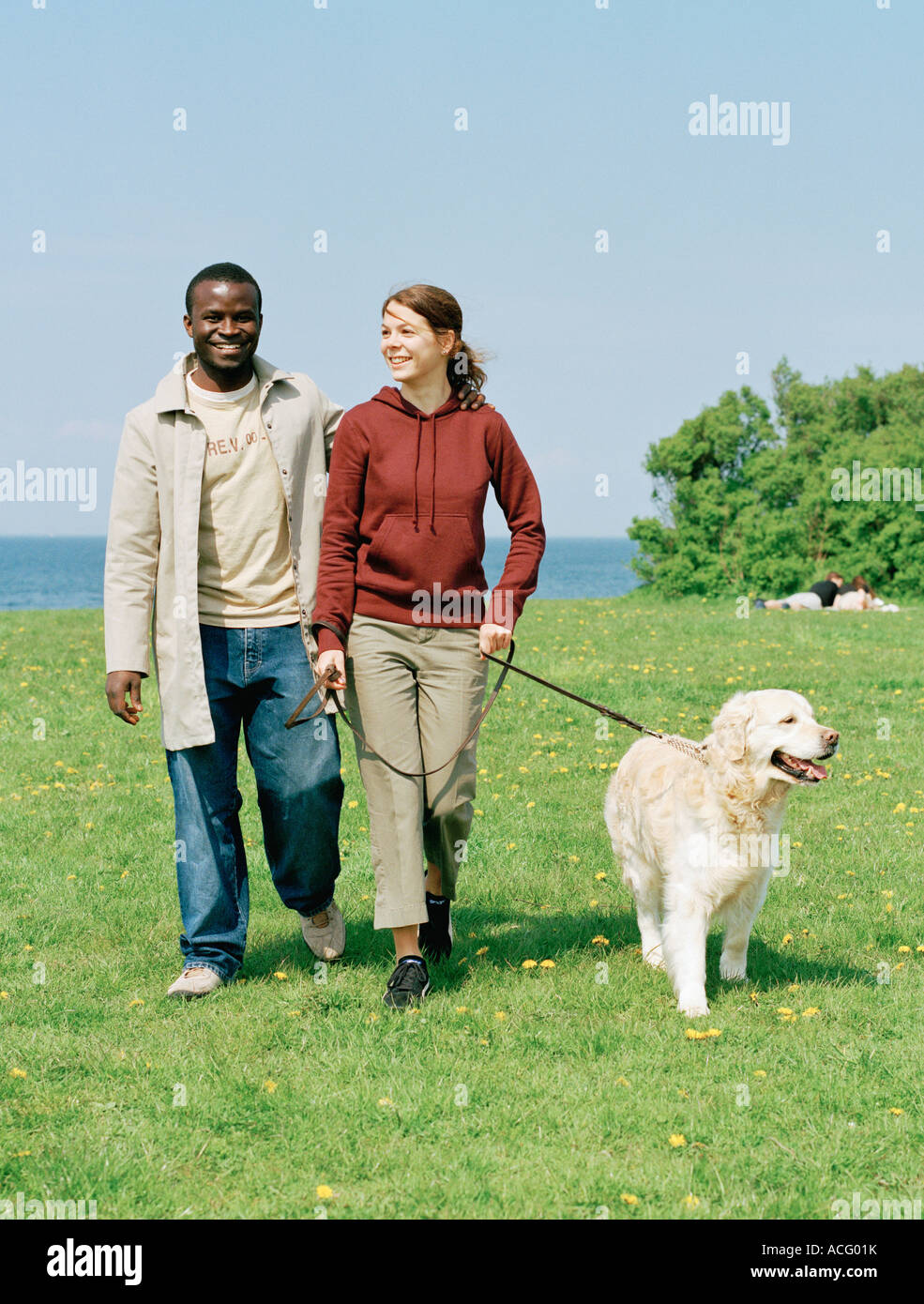 A smiling couple walking a dog Stock Photo - Alamy