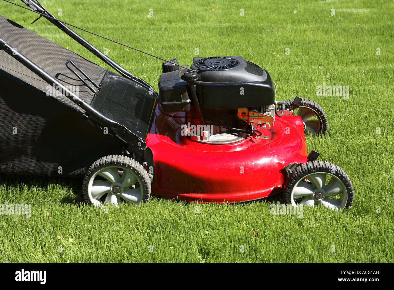 Pneumatici Agricoli 6.00-16 PR8 Gripking Per Trattorino - Gomme Nuove Per Trattore - Foto 6