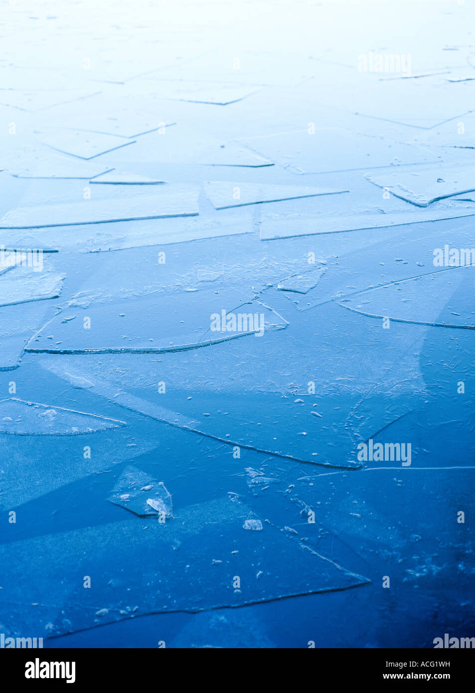 Cracked ice on water Stock Photo - Alamy