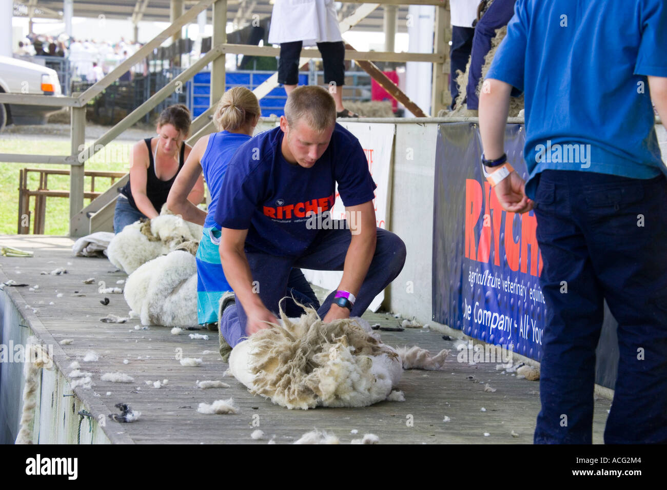Female Sheep Shearer High Resolution Stock Photography and Images Alamy