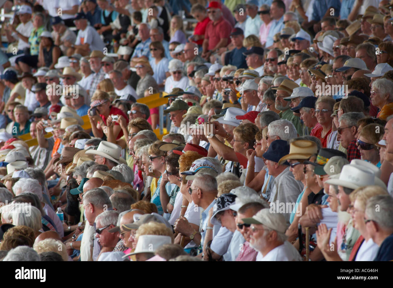 Spectators in grandstand Stock Photo - Alamy