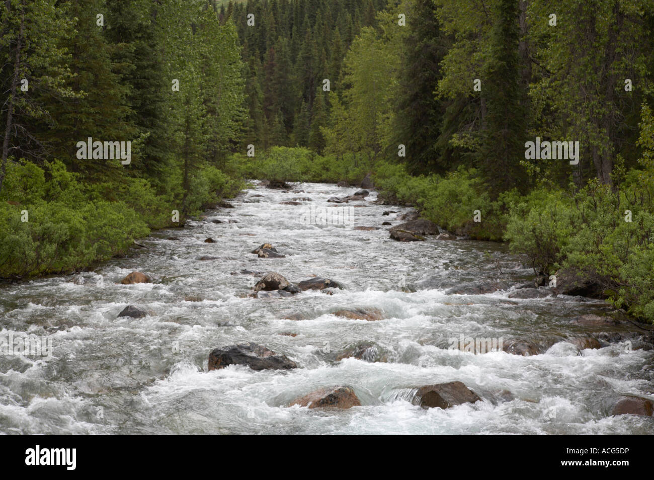 Willow Creek along Hatcher Pass Road in the Talkeetna Mountains Alaska