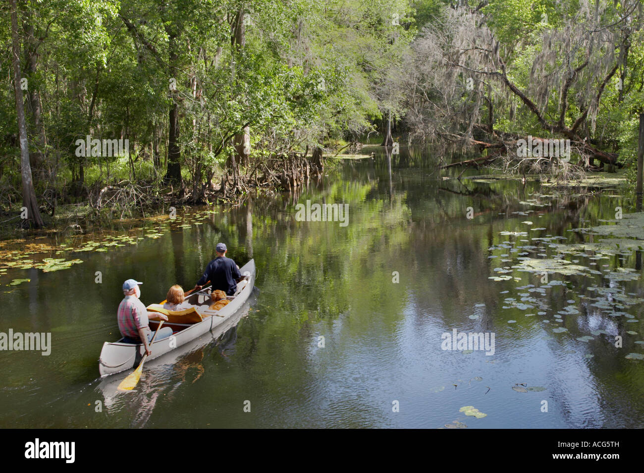 Canoeing ain the Hillsborough River t Lettuce Lake Park a Hiillsborough