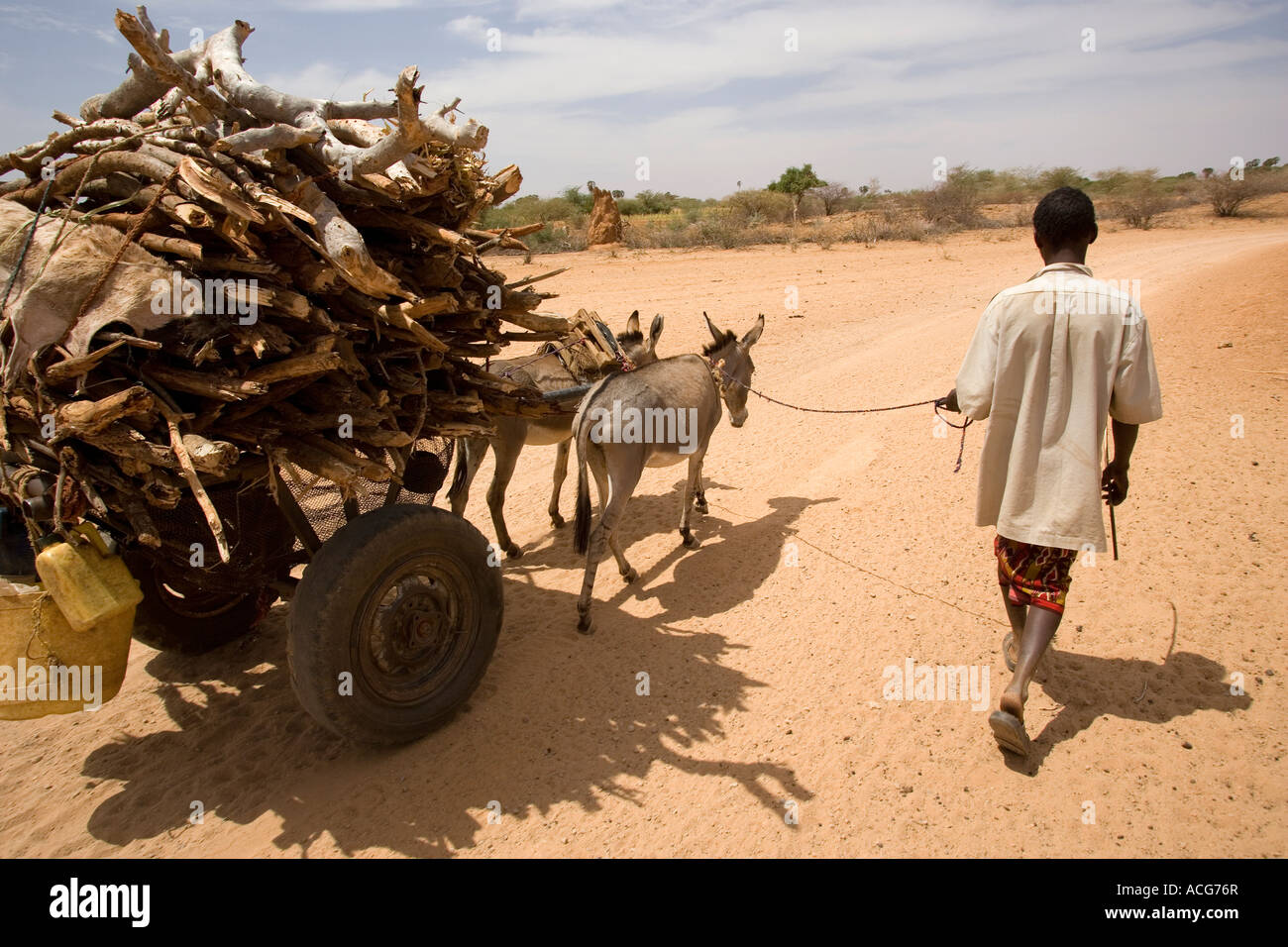 A wood seller walks back to Badera with his donkey cart laden with wood he has collected from sparse forest Stock Photo