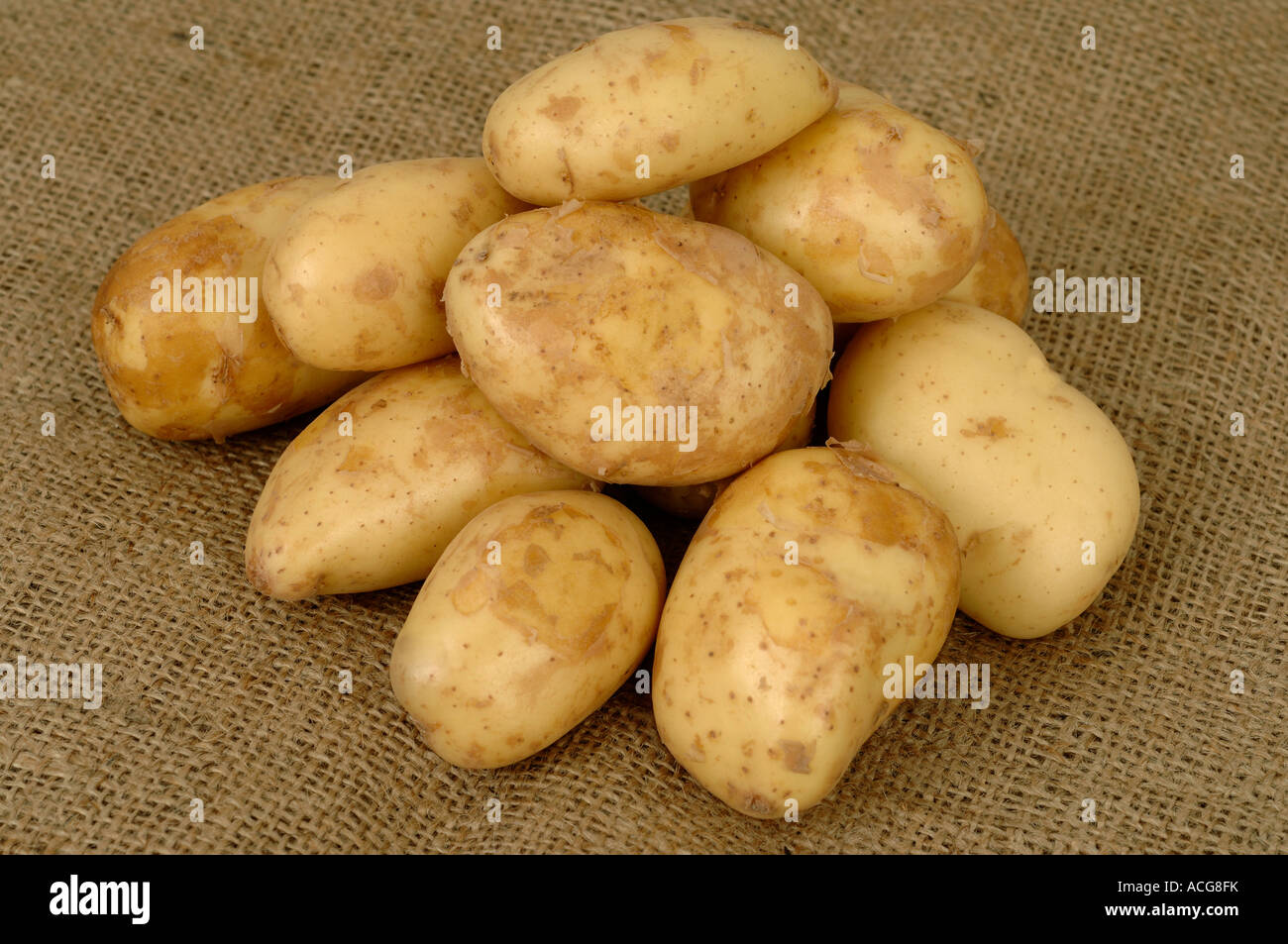 Buy Jersey Royal Potatoes Shop, 58% OFF | www.colegiogamarra.com