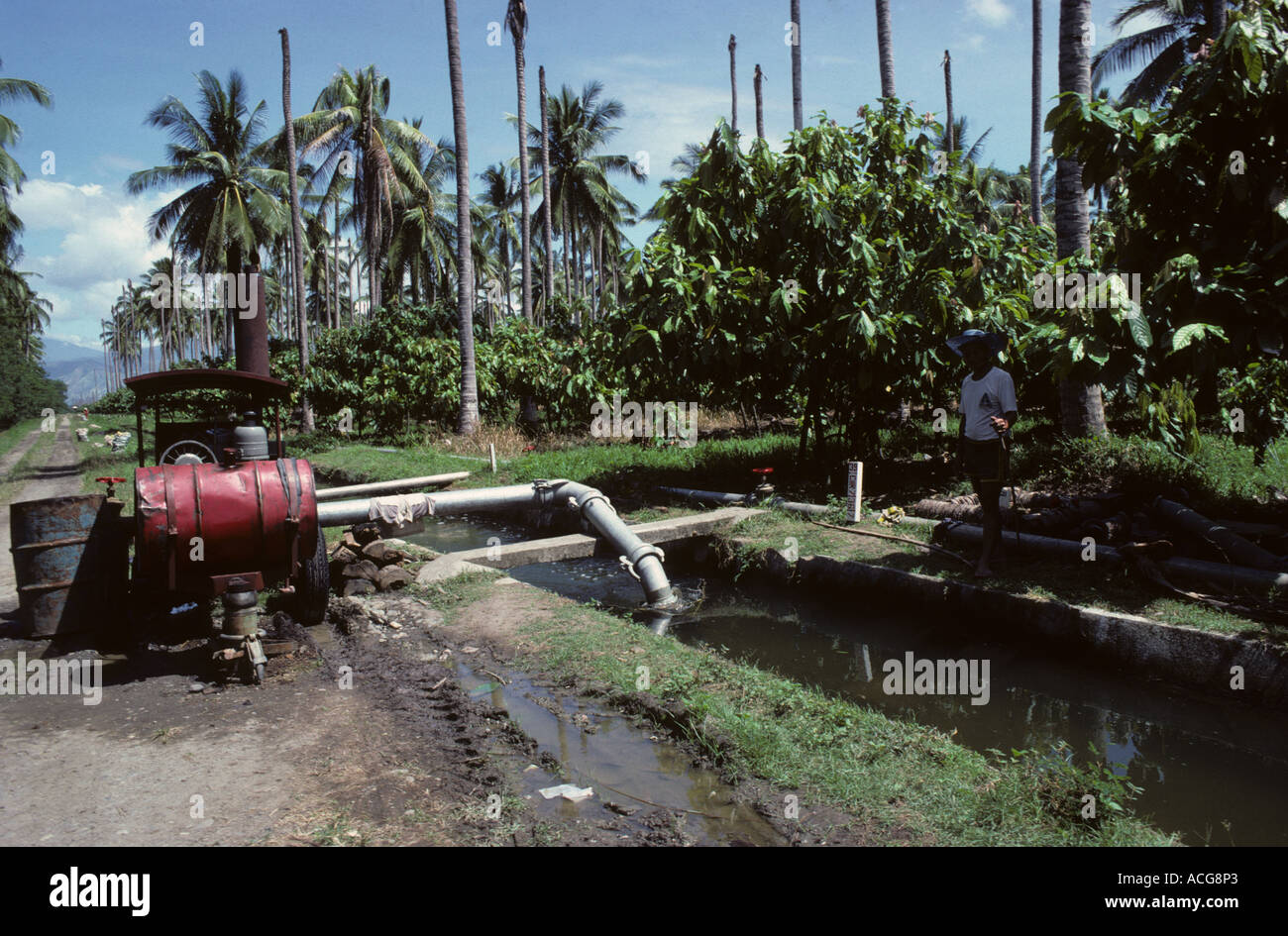 Irrigation channel and water pump in mature cocoa plantation in The