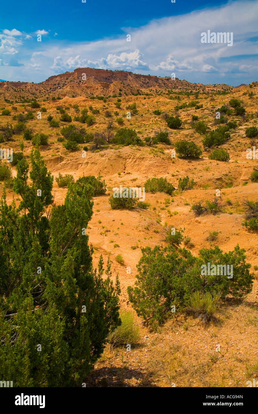 Tesuque hires stock photography and images Alamy