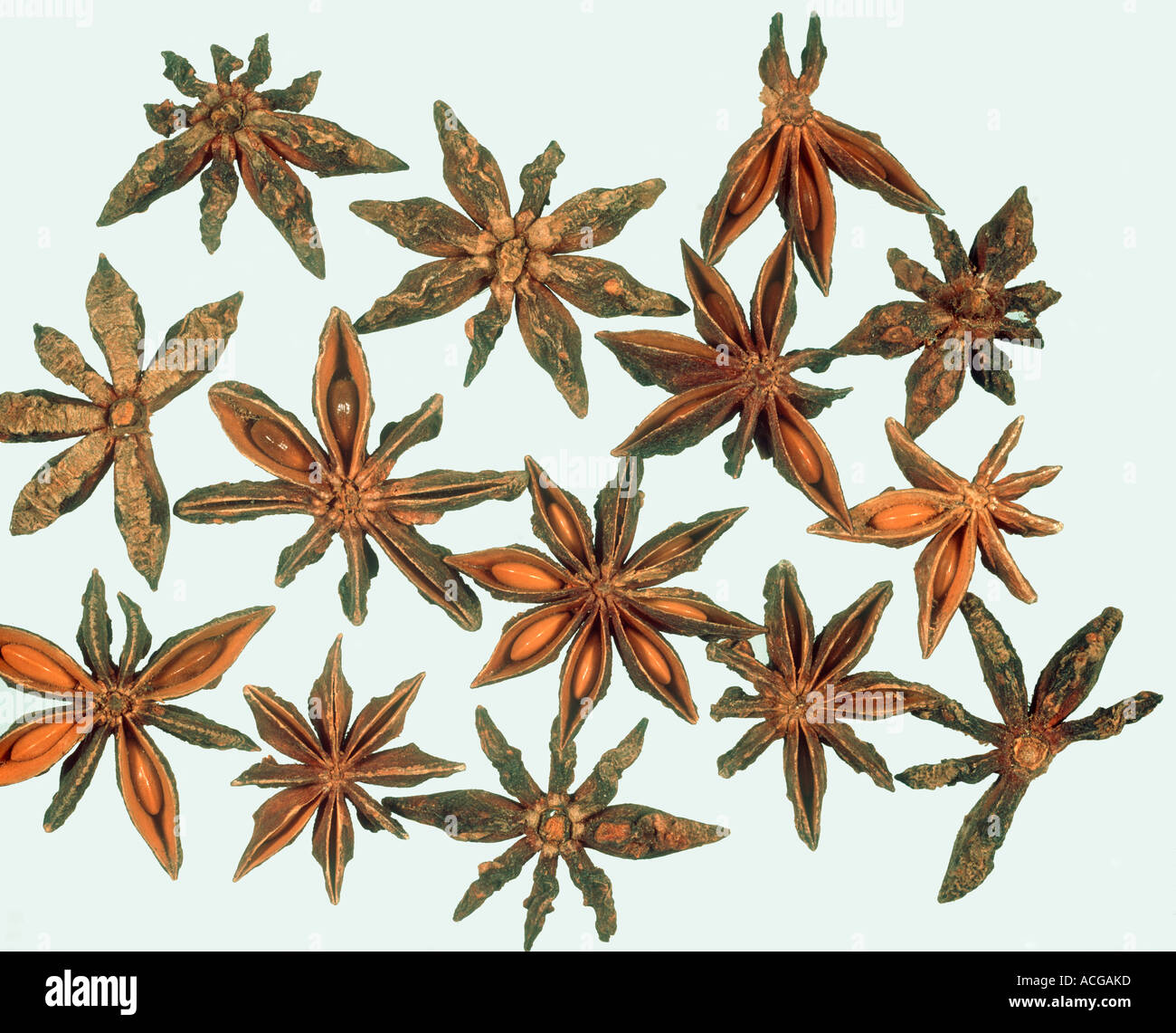 Star anise fruit Pimpinella anisum as purchased for cooking Stock Photo