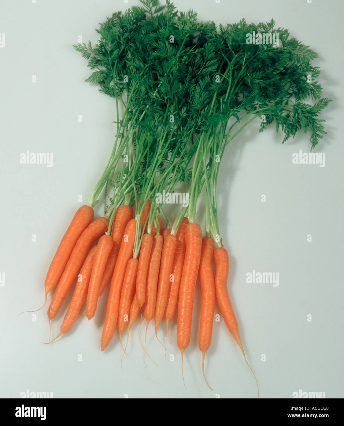 Carrot with green top intact root vegetable produce Stock Photo - Alamy