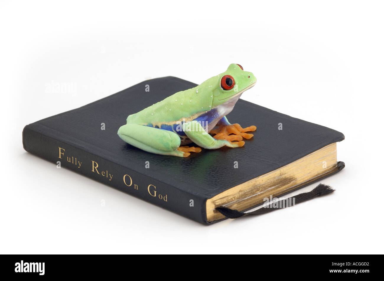 Read bible Cut Out Stock Images & Pictures Alamy