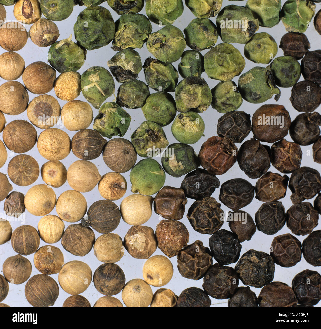 White green and black peppercorns Stock Photo