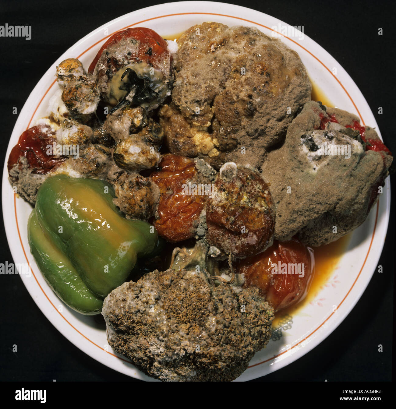Five of a series of photographs of raw vegetables slowly rotting and