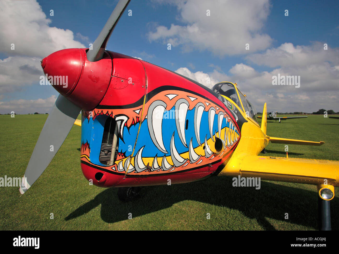Chipmunk Teeth High Resolution Stock Photography and Images - Alamy