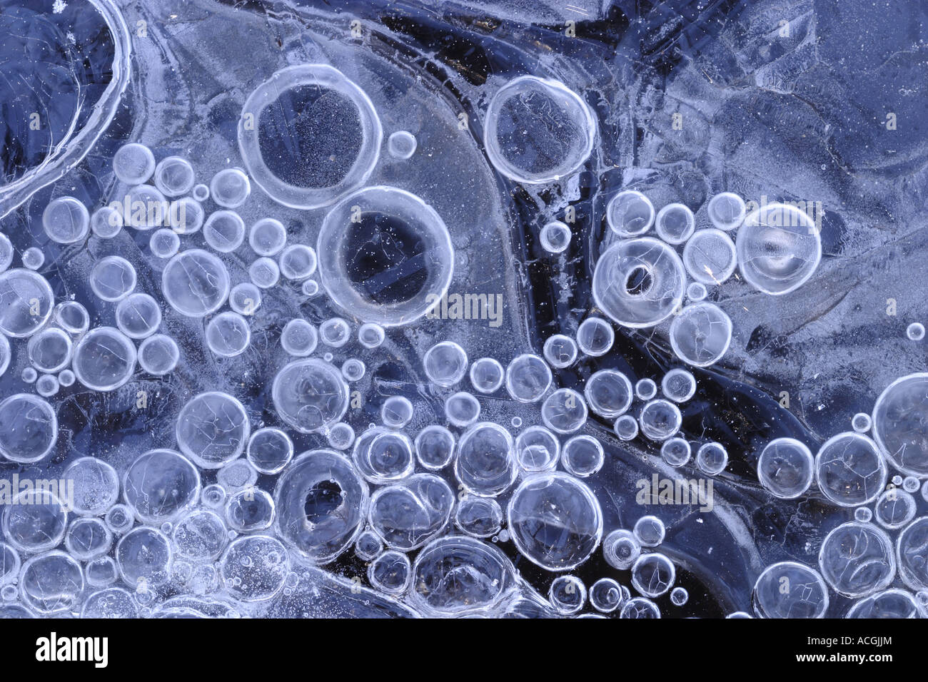 Air bubbles trapped in ice in a small puddle Stock Photo