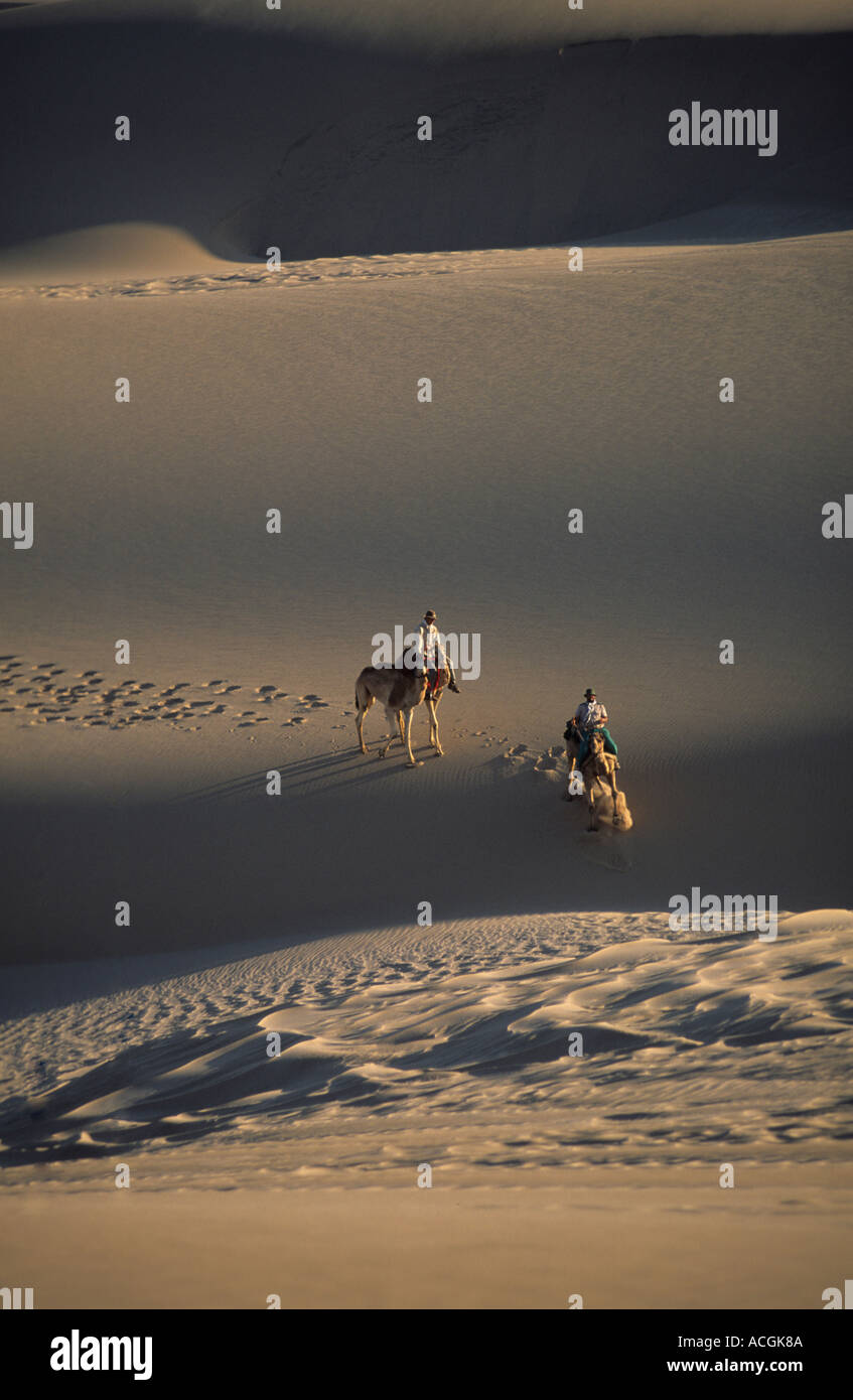Benedict Allen, Tommy his guide and camels negotiate a sand dune Stock Photo