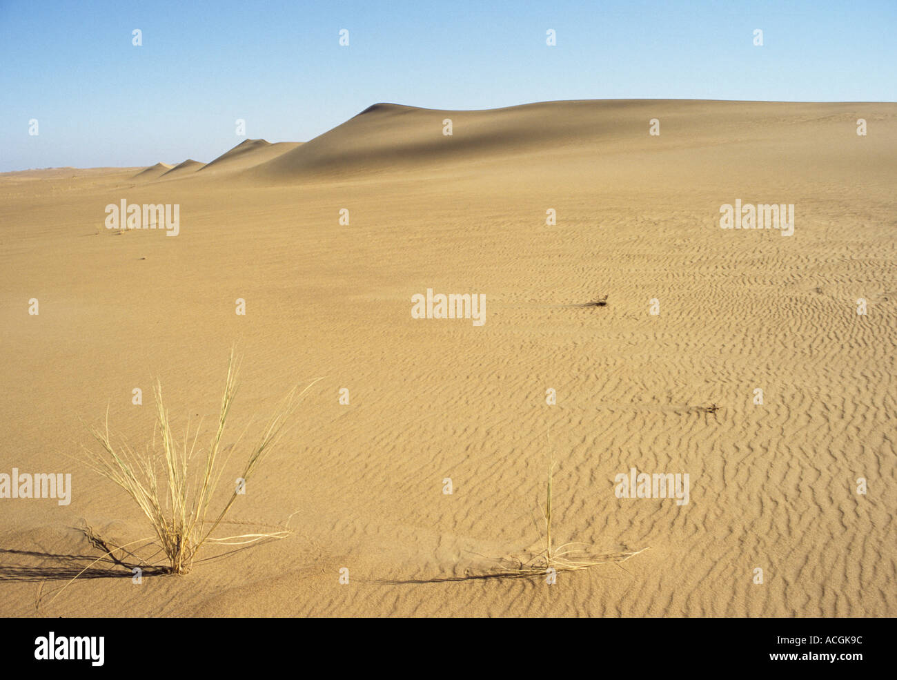 Sand and sand dunes in the Namib Naukluft desert Access is restricted due to Diamond mining activity by DeBeers  Namibia Stock Photo