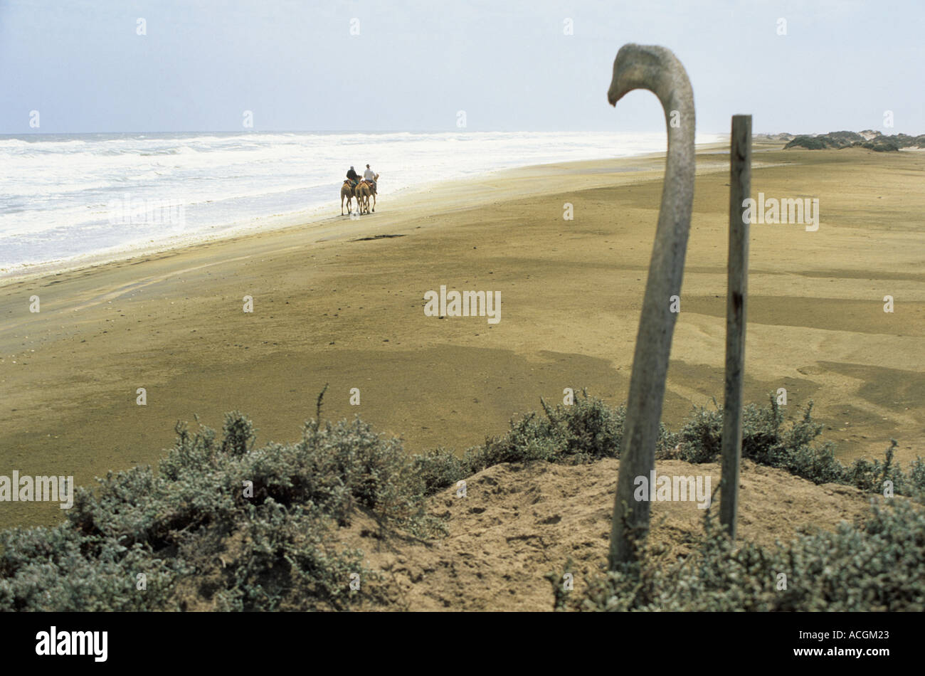 Benedict Allen on his camel journey along the diamond coast Namibia Stock Photo