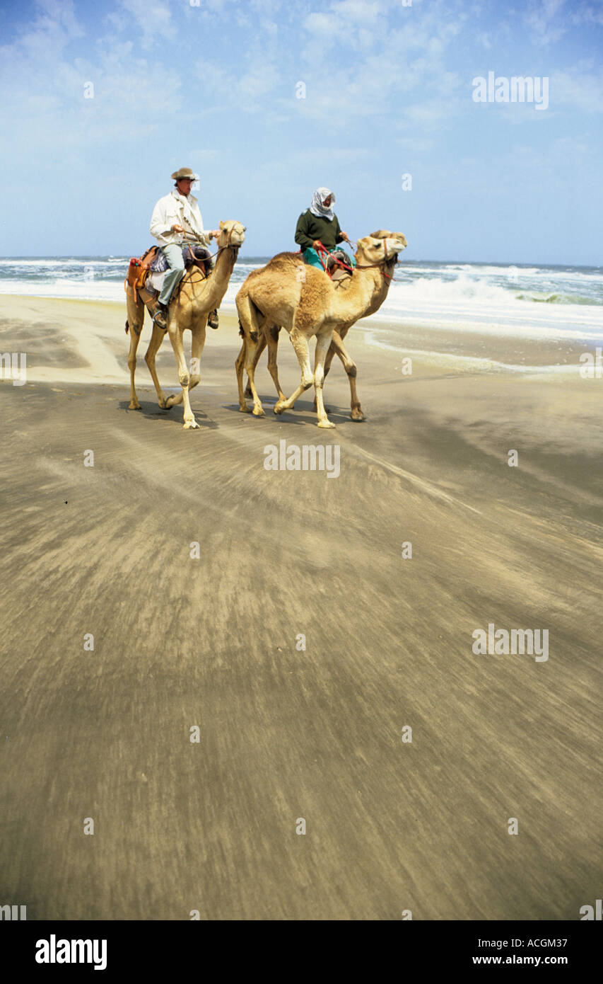 Benedict Allen and camels travel along the sand dunes of the Langevaan Stock Photo