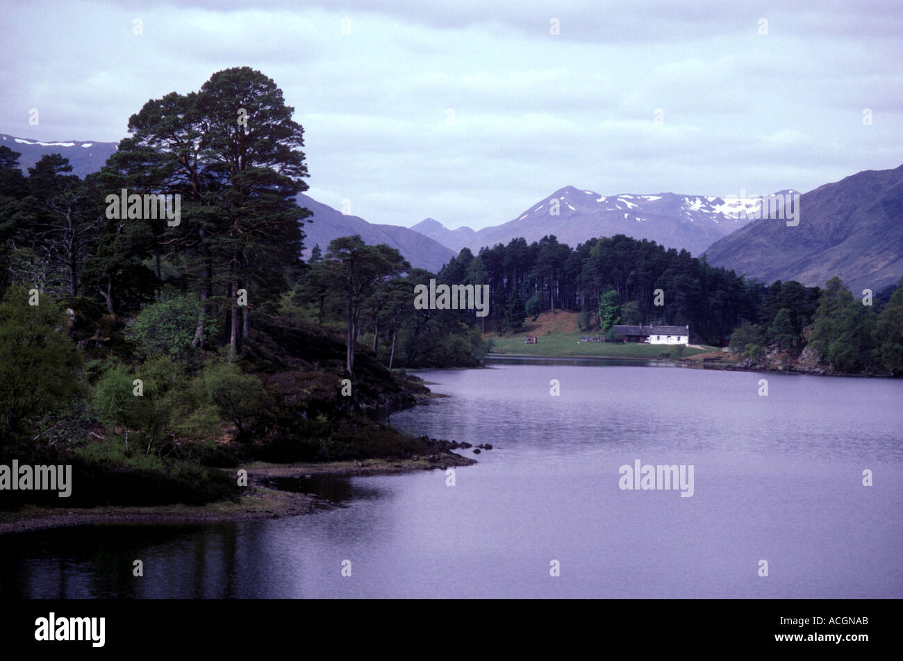 Glen Affric: view W. along River Affric near Affric Lodge. S.spur of Mam Sodhail rises in distance. May Stock Photo