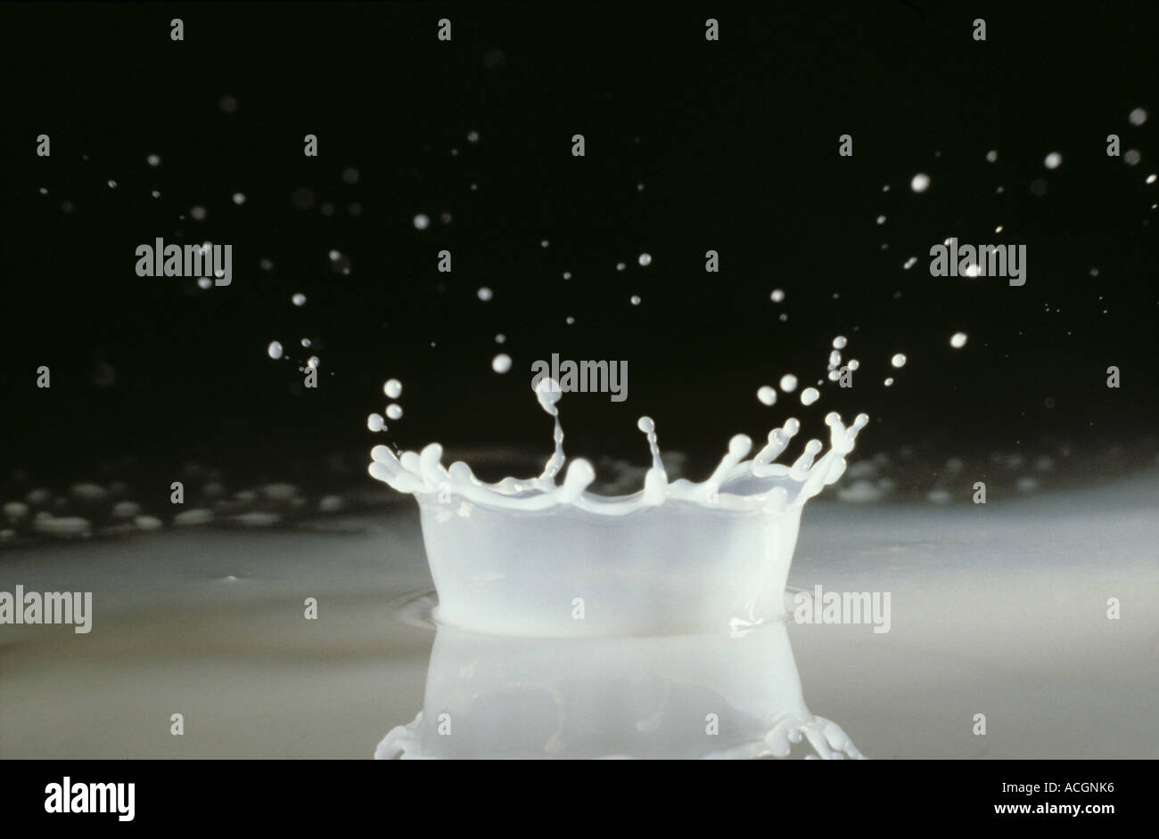 A corona formed by a droplet of milk splashing on a glass surface Stock Photo