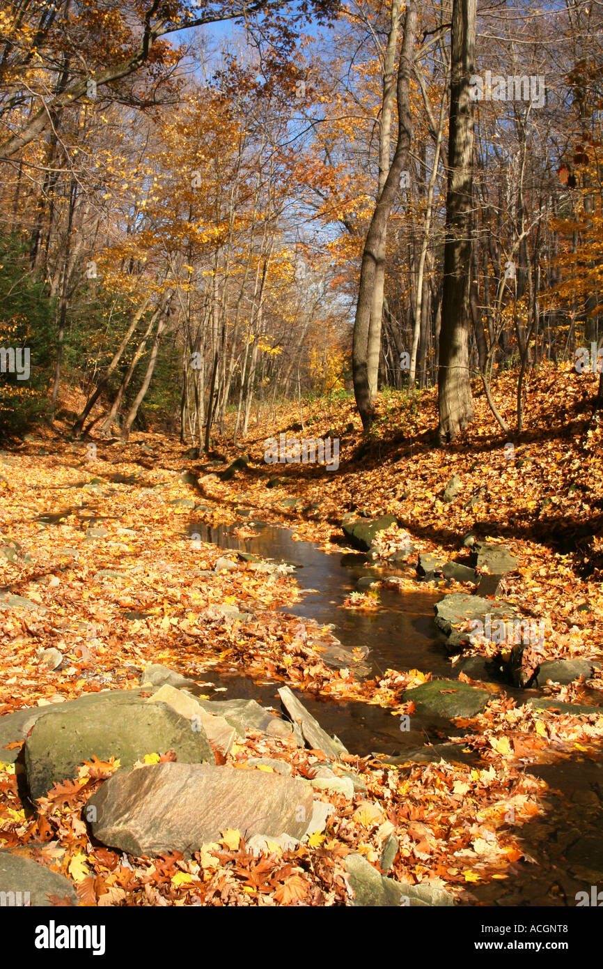 Autumn Stream Leaves cover portions of a stream Mill Creek Park ...