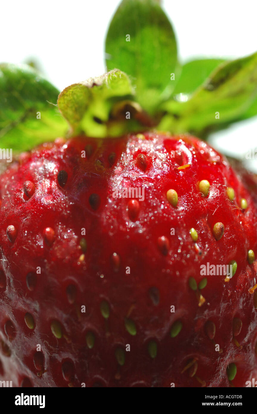 Plump strawberry hi-res stock photography and images - Alamy