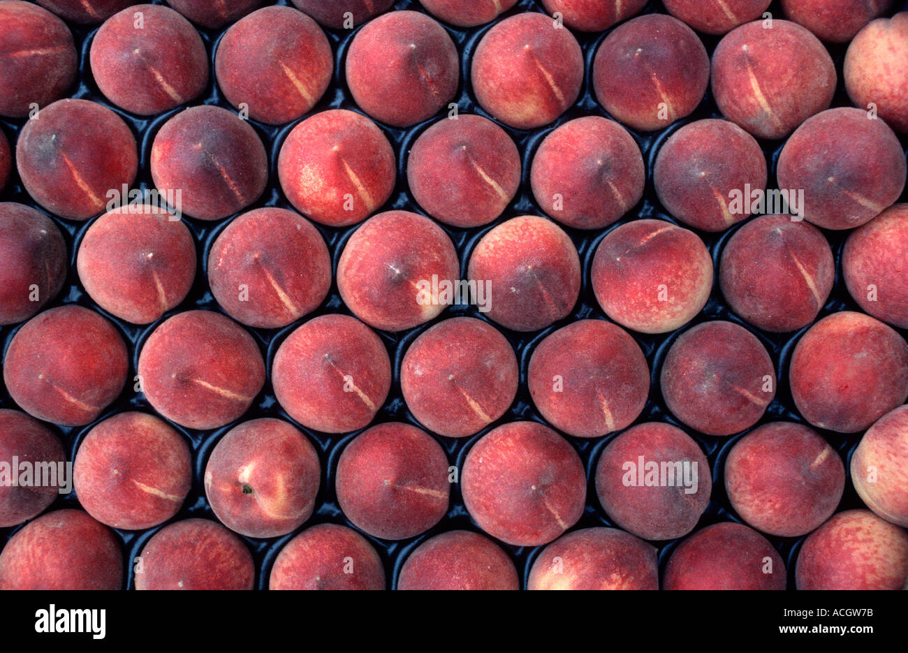 Detail of a crate of peaches for sale at market London England United Kingdom Stock Photo