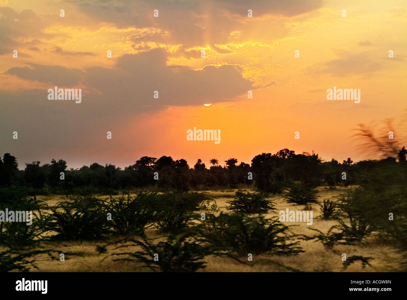 Beautiful golden glow hi-res stock photography and images - Alamy