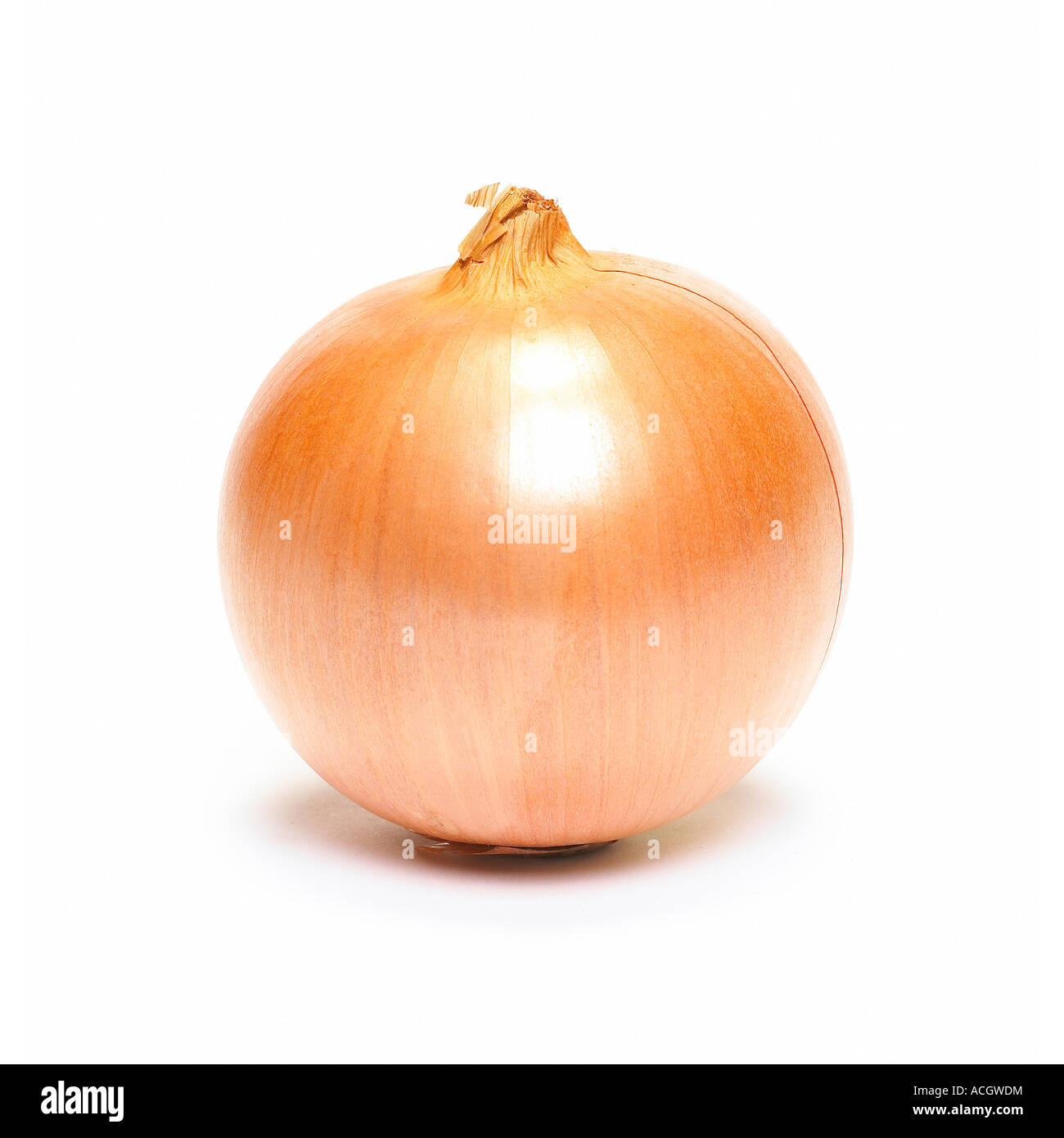 A french onion on a white background Stock Photo