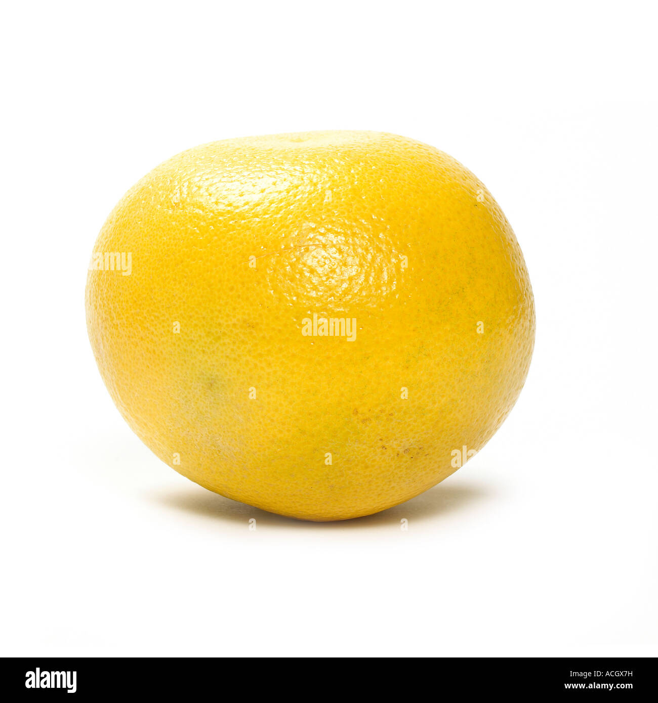 A white whole grapefruit Stock Photo Alamy