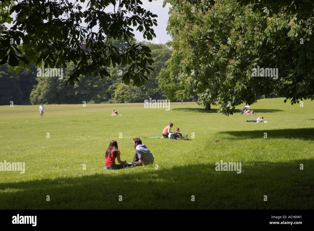 People sitting and relaxing in public park at Pontcanna Cardiff Wales UK Stock Photo