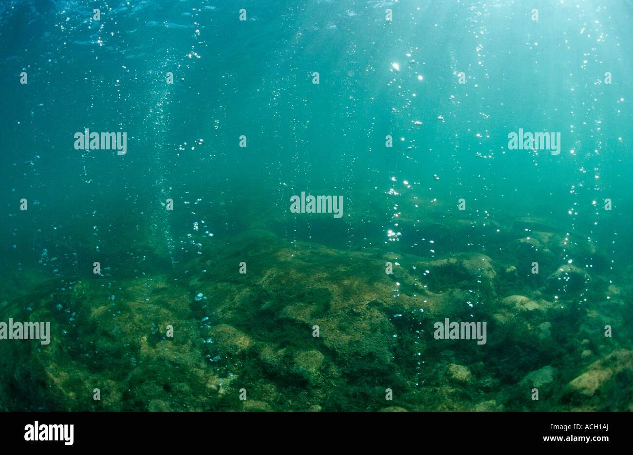 Volcanic gas bubbles Bahamas Great Abaco Atlantischer Ozean Stock Photo