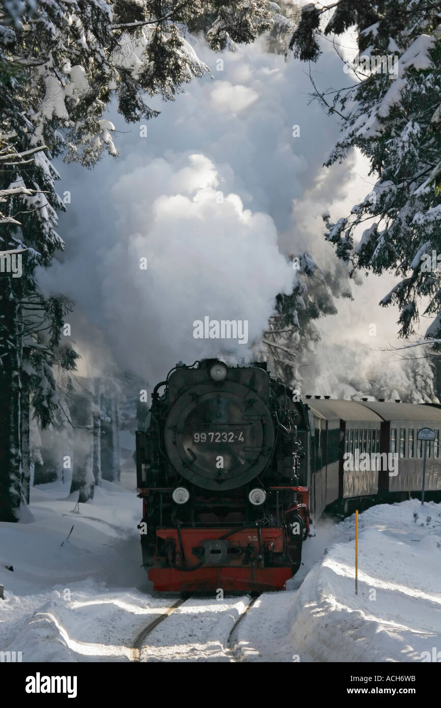 Historic steam engine travel, Harz, Germany Stock Photo